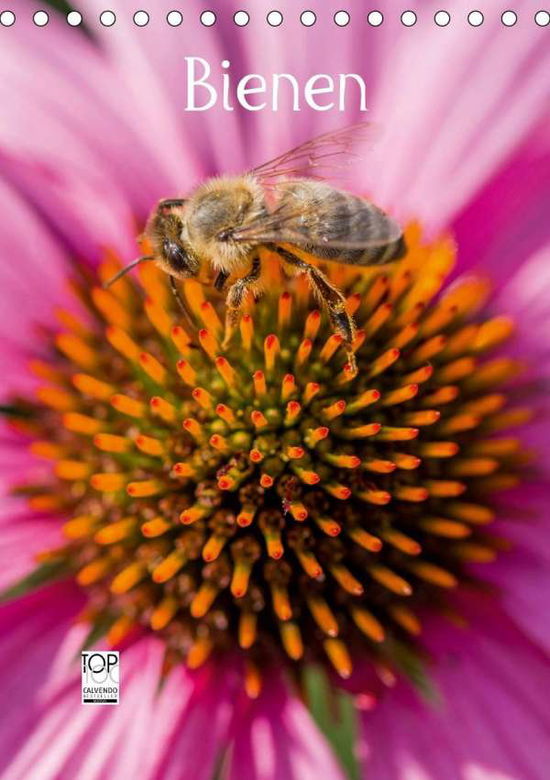 Cover for Bangert · Bienenkalender (Tischkalender 2 (Book)