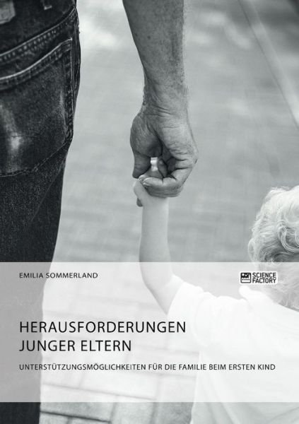 Cover for Emilia Sommerland · Herausforderungen junger Eltern. Unterstutzungsmoeglichkeiten fur die Familie beim ersten Kind (Paperback Book) (2018)