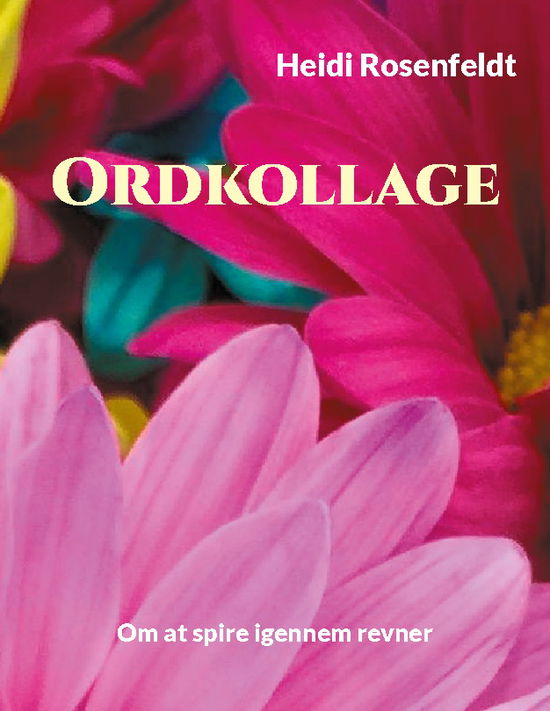 Cover for Heidi Rosenfeldt · Ordkollage (Paperback Book) [1st edition] (2024)