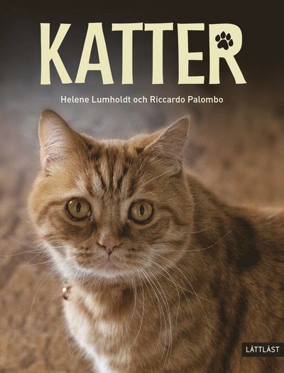 Cover for Helene Lumholdt · Katter (Hardcover Book) (2023)