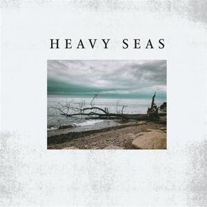 Cover for Heavy Seas · Distortion Days (LP) (2024)