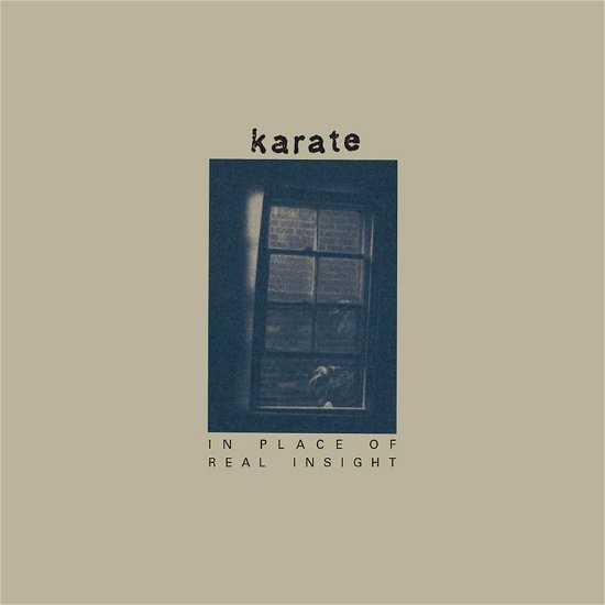 Cover for Karate · In Place of Real Insight (LP) [Limited Indie edition] (2023)
