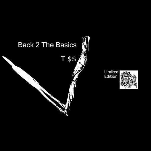 Cover for T Ss · Back 2 the Basics (CD) [Limited edition] (2011)