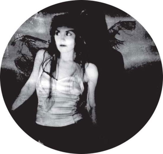 Cover for Phoebe Killdeer · Fade Out Line (LP) [Picture Disc edition] (2022)