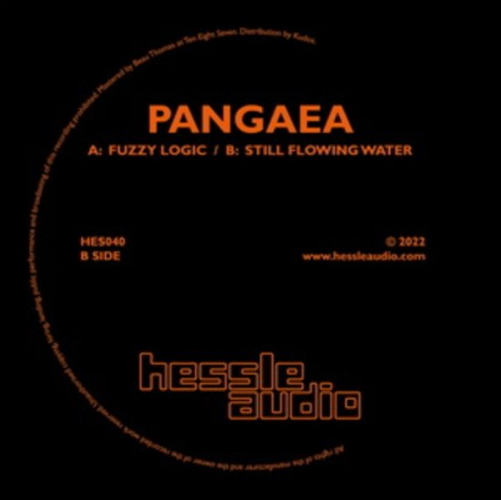 Cover for Pangaea · Fuzzy Logic / Still Flowing Water (LP) (2022)