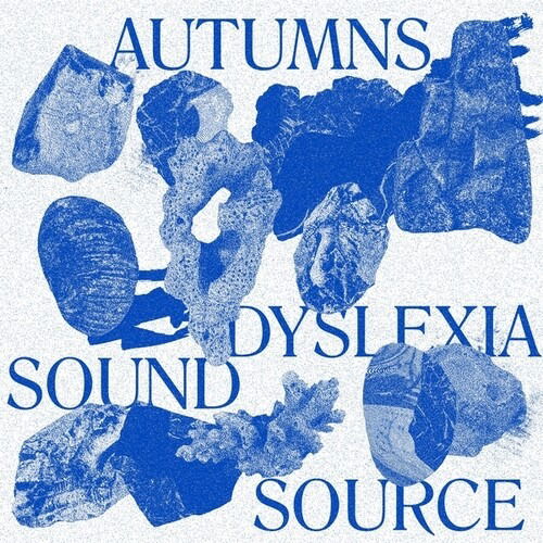 Autumns · Dyslexia Sound Source (LP) (2024)