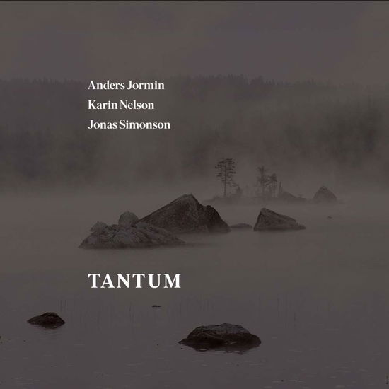 Cover for Bach,j.s. / Jormin / Simonson · Tantum (CD) (2018)