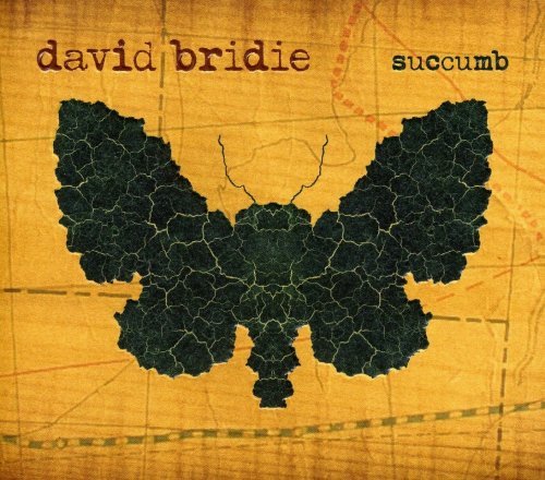 Cover for David Bridie · Succumb (CD) (2008)