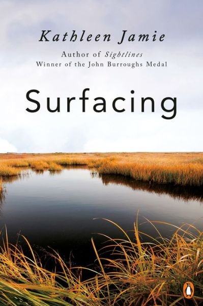 Cover for Kathleen Jamie · Surfacing (Paperback Book) (2019)