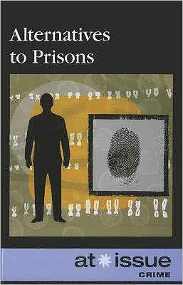 Cover for Ronnie D Lankford · Alternatives to Prisons (Paperback Book) (2012)