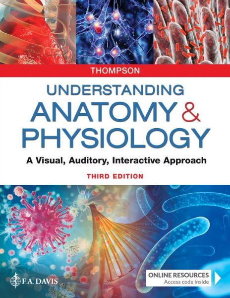 Cover for Gale Sloan Thompson · Understanding Anatomy &amp; Physiology: A Visual, Auditory, Interactive Approach (Paperback Book) [3 Revised edition] (2019)