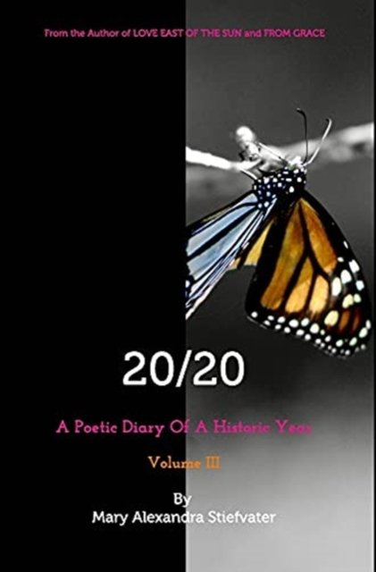 Cover for Mary Alexandra Stiefvater · 20/20 (Hardcover Book) (2021)
