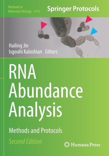 RNA Abundance Analysis: Methods and Protocols - Methods in Molecular Biology - - Books - Springer-Verlag New York Inc. - 9781071607459 - August 16, 2021