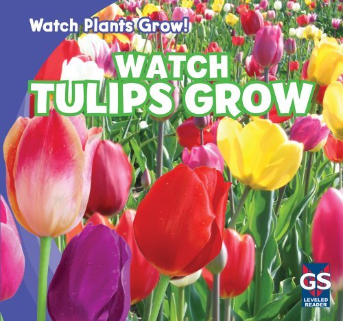 Cover for Kristen Rajczak · Watch Tulips Grow (Watch Plants Grow!) (Hardcover Book) (2011)
