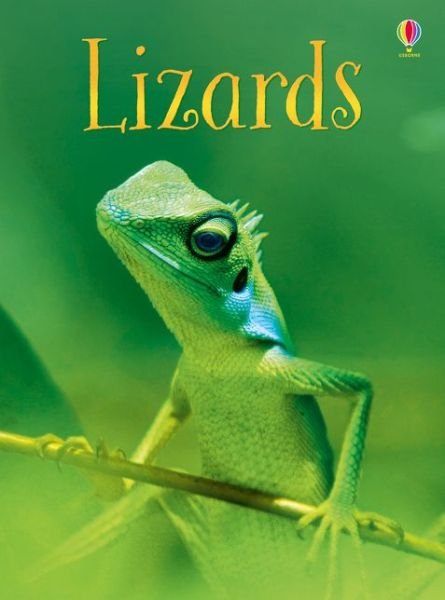 Lizards - Beginners - James Maclaine - Libros - Usborne Publishing Ltd - 9781474950459 - 29 de noviembre de 2018