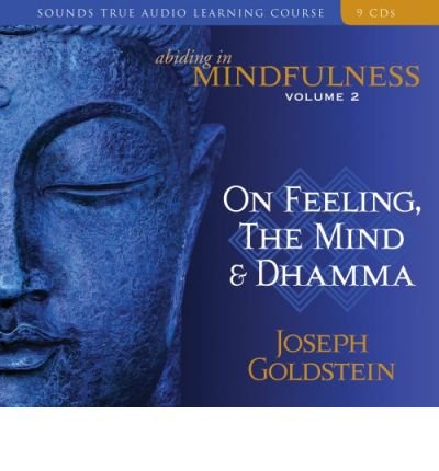Cover for Joseph Goldstein · Abiding in Mindfulness (Audiobook (CD)) [Study Guide, Unabridged edition] (2007)