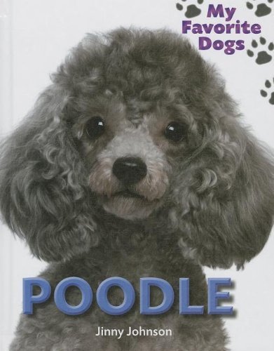 Cover for Jinny Johnson · Poodle (My Favorite Dogs (Smart Apple)) (Hardcover bog) (2013)