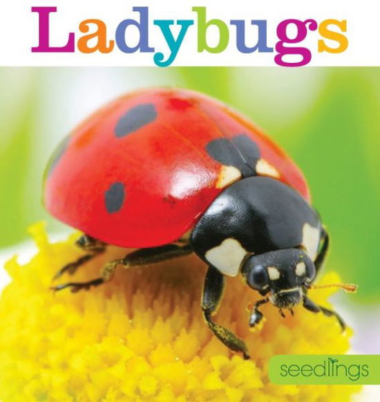 Cover for Aaron Frisch · Seedlings: Ladybugs (Paperback Book) (2015)