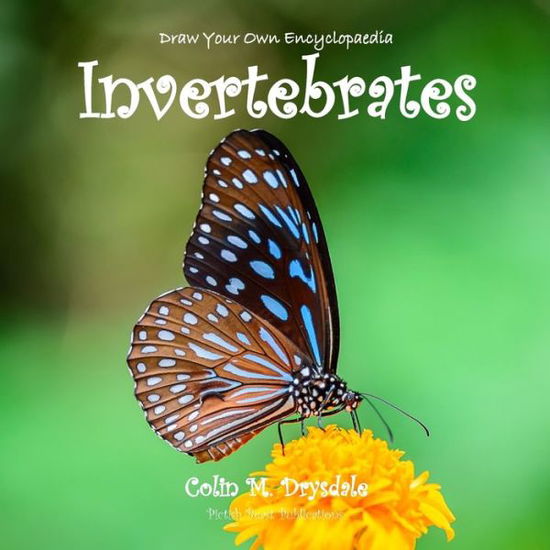 Cover for Colin M. Drysdale · Draw Your Own Encyclopaedia Invertebrates (Paperback Book) (2018)