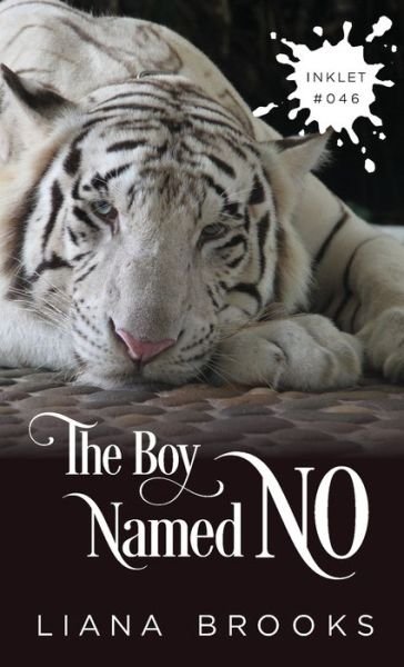 Cover for Liana Brooks · The Boy Named No (Paperback Book) (2020)
