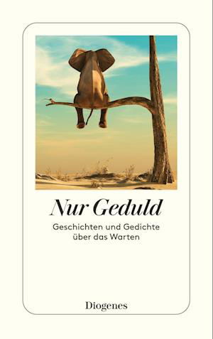 Martha Schoknecht · Nur Geduld (Book) (2024)