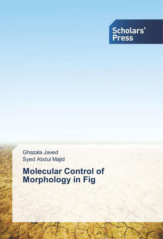 Cover for Javed · Molecular Control of Morphology i (Book)