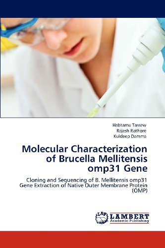 Cover for Kuldeep Damma · Molecular Characterization of Brucella Mellitensis Omp31 Gene: Cloning and Sequencing of B. Mellitensis Omp31 Gene Extraction of Native Outer Membrane Protein (Omp) (Paperback Book) (2012)