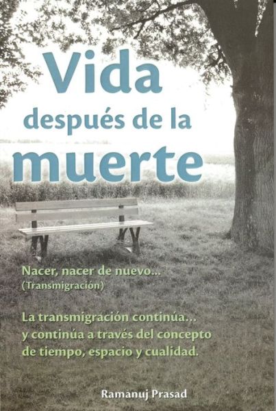 Cover for Ramanuj Prasad · Vida Después De La Muerte / Life After Death (Paperback Book) [Spanish edition] (2010)