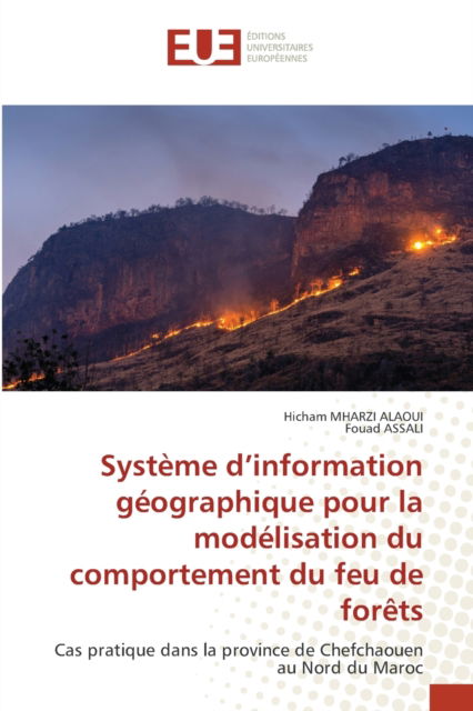 Cover for Hicham Mharzi Alaoui · Systeme d'information geographique pour la modelisation du comportement du feu de forets (Pocketbok) (2021)