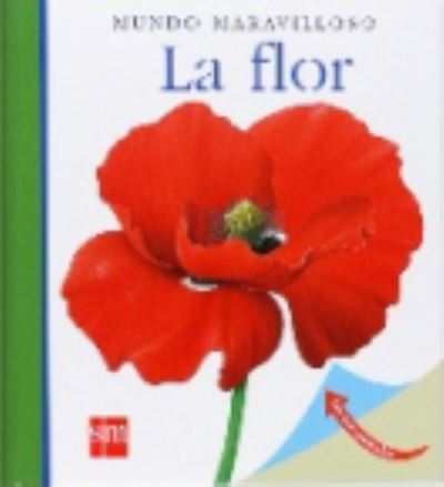 Cover for Rene Mettler · Mundo Maravilloso: La flor (Paperback Book) (2009)