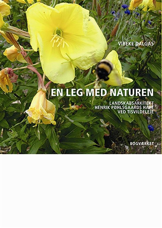 Cover for Vibeke Dalgas · En Leg med Naturen (Gebundesens Buch) [1. Ausgabe] (2021)