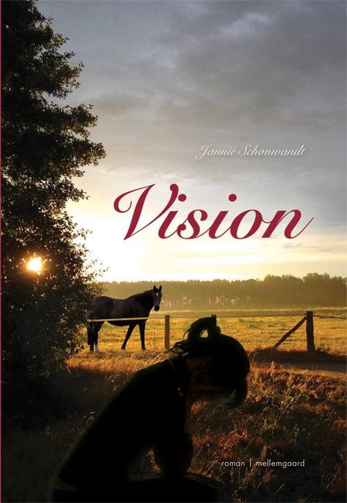 Cover for Jannie Schønwandt · Vision (Sewn Spine Book) [1.º edición] (2014)