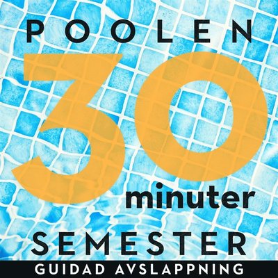 Cover for Ola Ringdahl · 30 minuter semester : polen (Książka audio (MP3)) (2018)