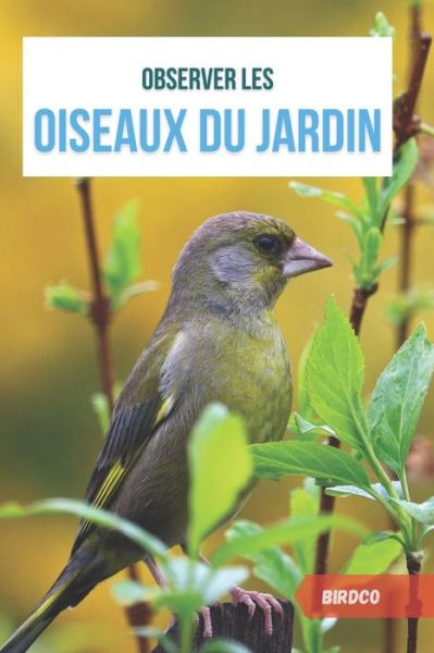 Cover for Sacha Durand · Observer les oiseaux du jardin - Les Animaguide (Paperback Book) (2020)