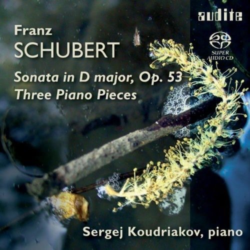 Cover for Schubert Franz · Piano Sonata D 850 &amp; Three Pia (CD) (2008)