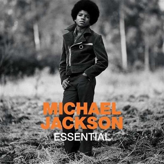 Essential Michael Jackson - Michael Jackson - Música - Universal - 0600753485460 - 18 de julho de 2017