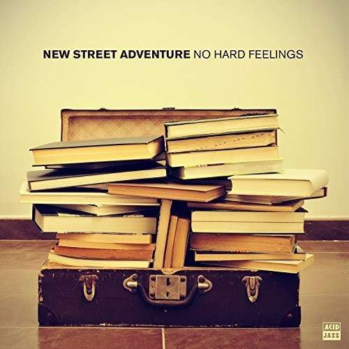 Cover for New Street Adventure · No Hard Feelings (LP) (2014)