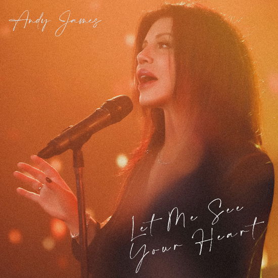 Cover for Andy James · Let Me See Your Heart (CD) (2024)