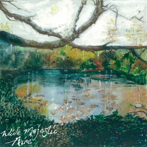 Wide Majestic Aire - Trembling Bells - Music - Tin Angel - 5052442008460 - May 6, 2016