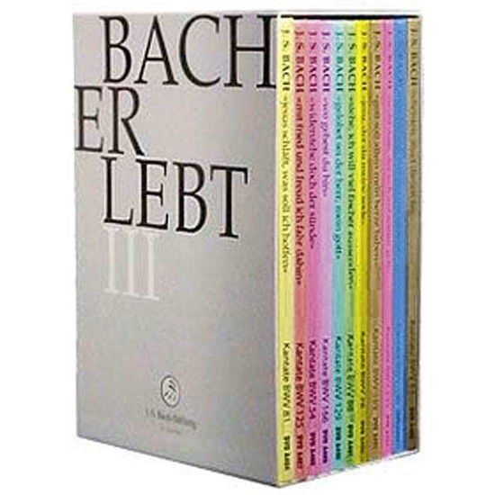 Cover for J.S. Bach-Stiftung / Lutz,Rudolf · Bach Erlebt III (DVD) (2014)