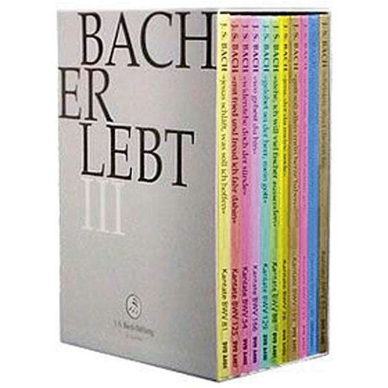 Cover for J.S. Bach-Stiftung / Lutz,Rudolf · Bach Erlebt III (DVD) (2014)