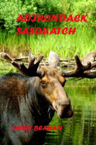 Cover for Larry Beahan · Adirondack Sasquatch (Paperback Book) (2013)