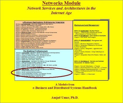 Cover for Amjad Umar · E-Business and Distributed Systems Handbook: Networks Module (Taschenbuch) (2003)
