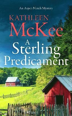 Cover for Kathleen McKee · The Sterling Predicament (Paperback Book) (2025)