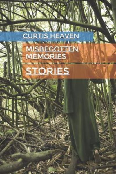 Cover for Curtis Heaven · Misbegotten Memories (Paperback Book) (2018)