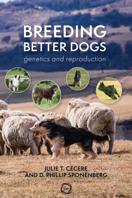 Cover for Julie T. Cecere · Breeding Better Dogs: Genetics and Reproduction - Animal Breeding (Paperback Book) (2023)