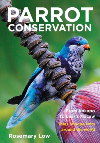Rosemary Low · Parrot Conservation (Paperback Book) (2024)