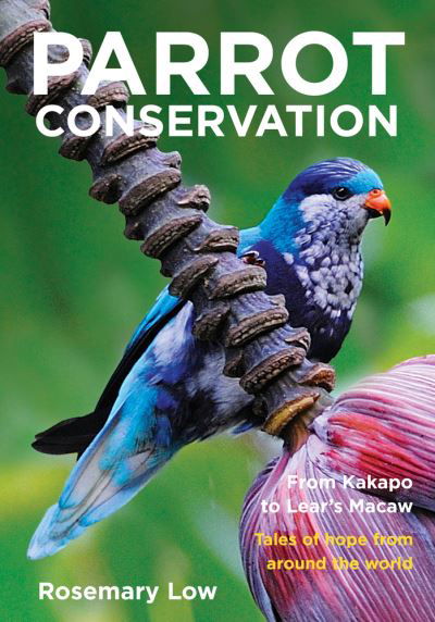 Parrot Conservation - Rosemary Low - Books - New Holland Publishers - 9781925546460 - January 3, 2022