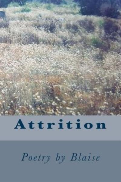 Cover for T M Betterton · Attrition Poetry (Paperback Bog) (2017)