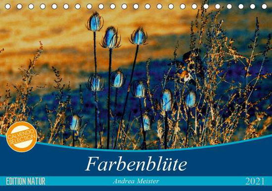 Cover for Meister · Farbenblüte (Tischkalender 2021 (Book)